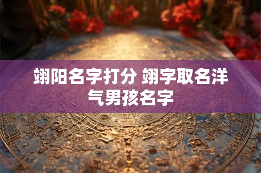 翊阳名字打分 翊字取名洋气男孩名字