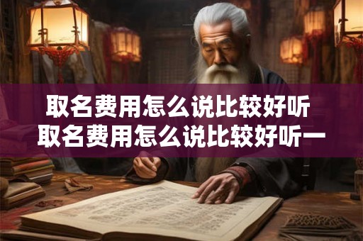 取名费用怎么说比较好听 取名费用怎么说比较好听一点