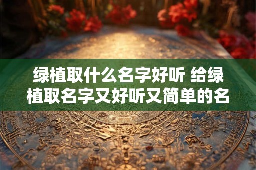 绿植取什么名字好听 给绿植取名字又好听又简单的名字