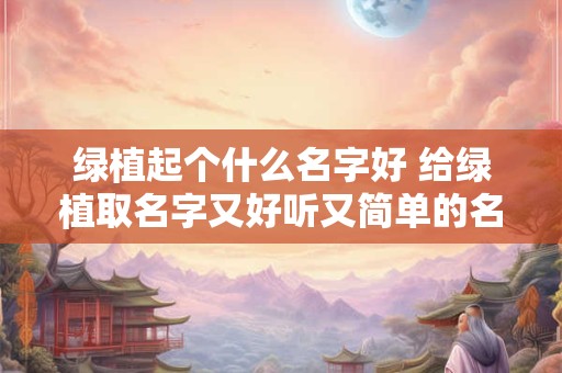 绿植起个什么名字好 给绿植取名字又好听又简单的名字