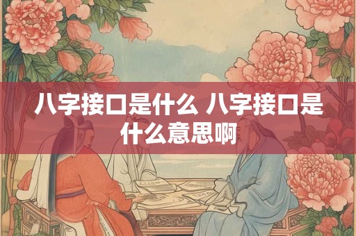 八字接口是什么 八字接口是什么意思啊