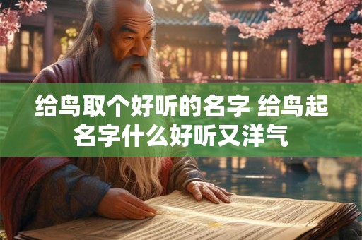 给鸟取个好听的名字 给鸟起名字什么好听又洋气