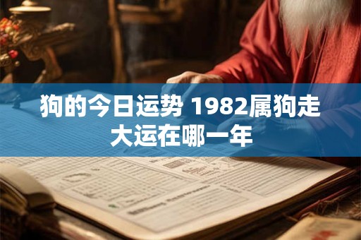 狗的今日运势 1982属狗走大运在哪一年