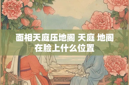 面相天庭压地阁 天庭 地阁在脸上什么位置