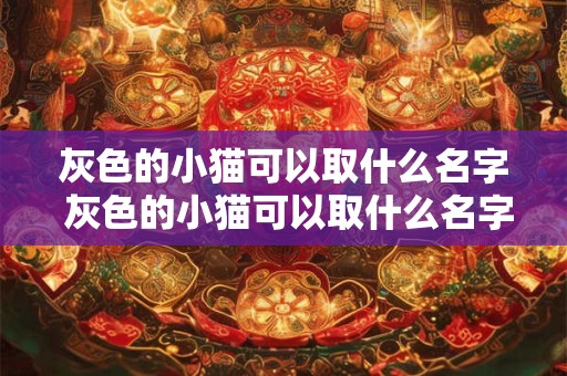 灰色的小猫可以取什么名字 灰色的小猫可以取什么名字好听