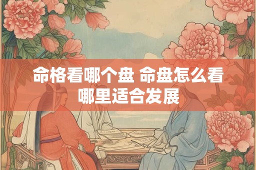 命格看哪个盘 命盘怎么看哪里适合发展
