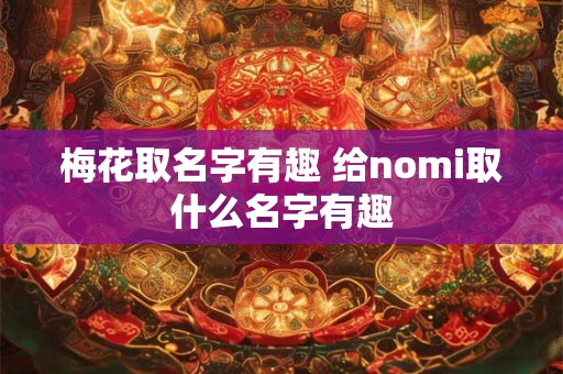 梅花取名字有趣 给nomi取什么名字有趣