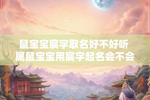 鼠宝宝宸字取名好不好听 属鼠宝宝用宸字起名会不会太大