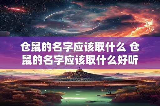 仓鼠的名字应该取什么 仓鼠的名字应该取什么好听