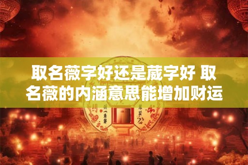 取名薇字好还是葳字好 取名薇的内涵意思能增加财运吗