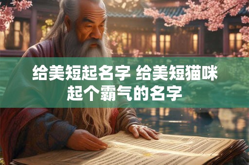 给美短起名字 给美短猫咪起个霸气的名字