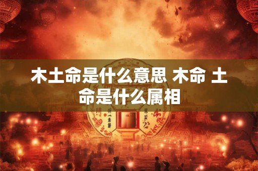 木土命是什么意思 木命 土命是什么属相