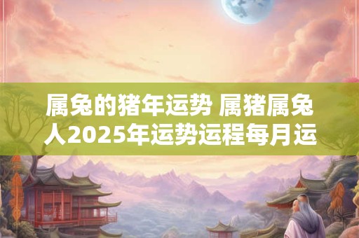 属兔的猪年运势 属猪属兔人2025年运势运程每月运程