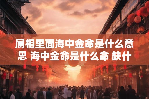 属相里面海中金命是什么意思 海中金命是什么命 缺什么 忌什么 属相里面海中金命是什么意思 海中金命是什么命 缺什么 忌什么