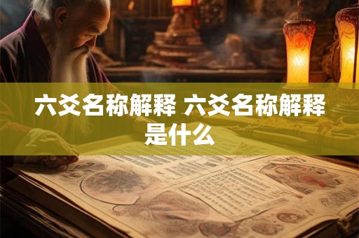 六爻名称解释 六爻名称解释是什么