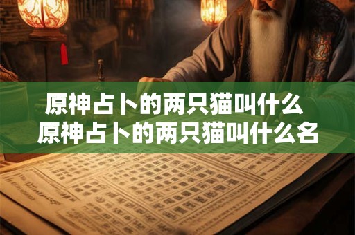 原神占卜的两只猫叫什么 原神占卜的两只猫叫什么名字