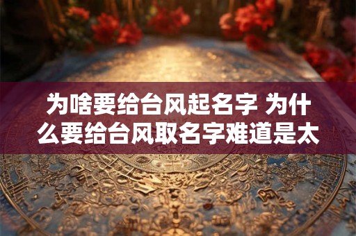 为啥要给台风起名字 为什么要给台风取名字难道是太闲了