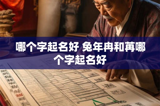 哪个字起名好 兔年冉和苒哪个字起名好