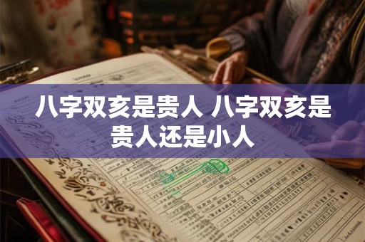 八字双亥是贵人 八字双亥是贵人还是小人