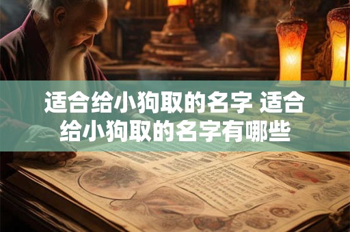 适合给小狗取的名字 适合给小狗取的名字有哪些