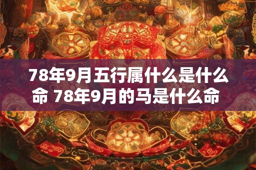78年9月五行属什么是什么命 78年9月的马是什么命 五行属什么