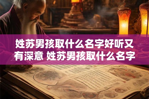 姓苏男孩取什么名字好听又有深意 姓苏男孩取什么名字好听又有深意两个字