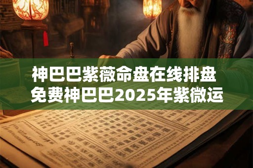 神巴巴紫薇命盘在线排盘 免费神巴巴2025年紫微运势