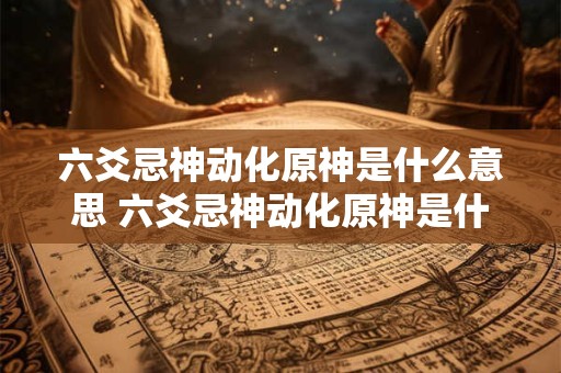 六爻忌神动化原神是什么意思 六爻忌神动化原神是什么意思啊