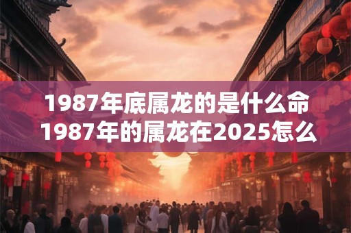 1987年底属龙的是什么命 1987年的属龙在2025怎么样