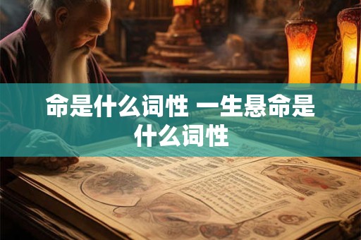 命是什么词性 一生悬命是什么词性