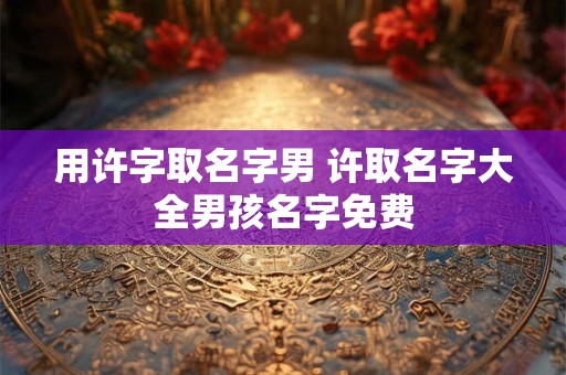 用许字取名字男 许取名字大全男孩名字免费