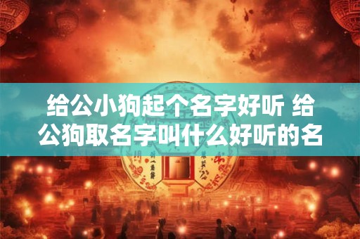 给公小狗起个名字好听 给公狗取名字叫什么好听的名字