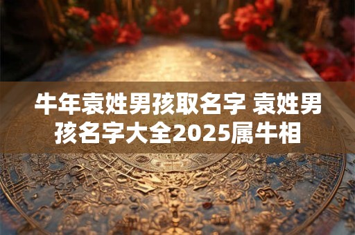 牛年袁姓男孩取名字 袁姓男孩名字大全2025属牛相