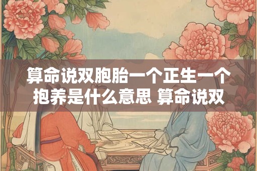 算命说双胞胎一个正生一个抱养是什么意思 算命说双胞胎一个正生一个抱养是什么意思啊