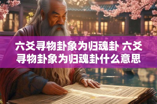 六爻寻物卦象为归魂卦 六爻寻物卦象为归魂卦什么意思