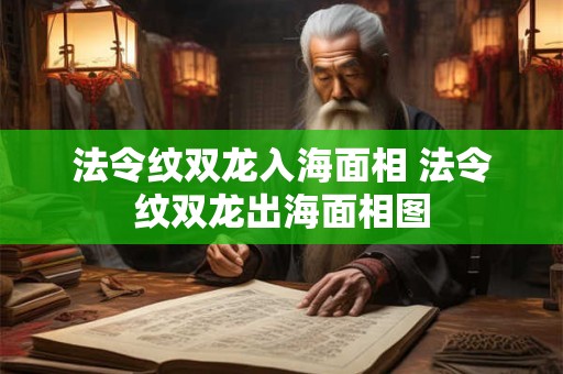 法令纹双龙入海面相 法令纹双龙出海面相图