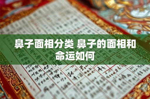 鼻子面相分类 鼻子的面相和命运如何