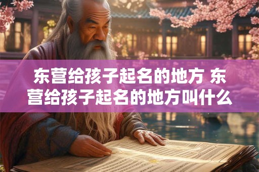东营给孩子起名的地方 东营给孩子起名的地方叫什么