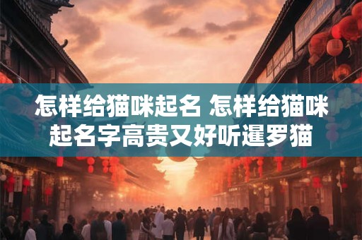 怎样给猫咪起名 怎样给猫咪起名字高贵又好听暹罗猫