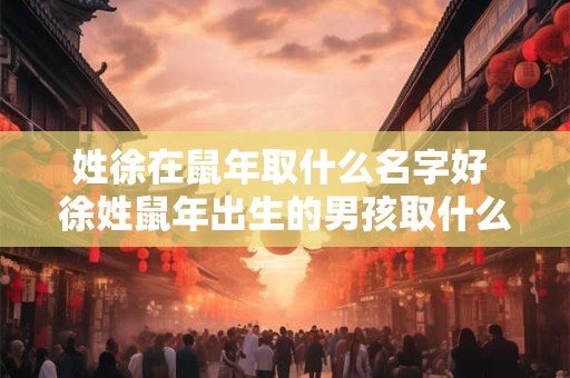 姓徐在鼠年取什么名字好 徐姓鼠年出生的男孩取什么名字好