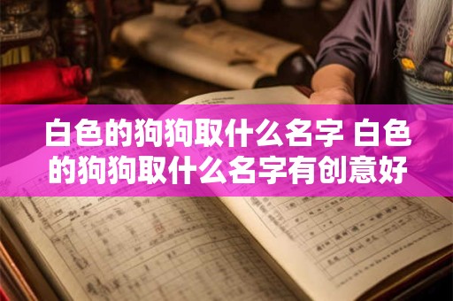 白色的狗狗取什么名字 白色的狗狗取什么名字有创意好听