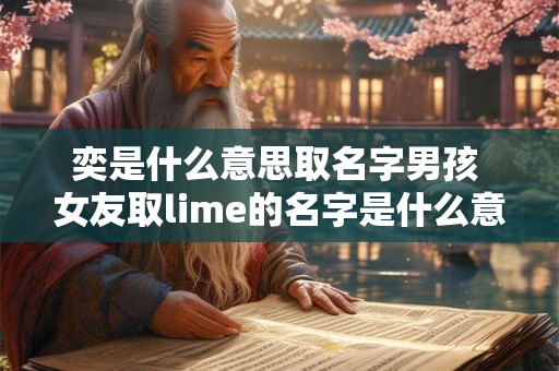 奕是什么意思取名字男孩 女友取lime的名字是什么意思