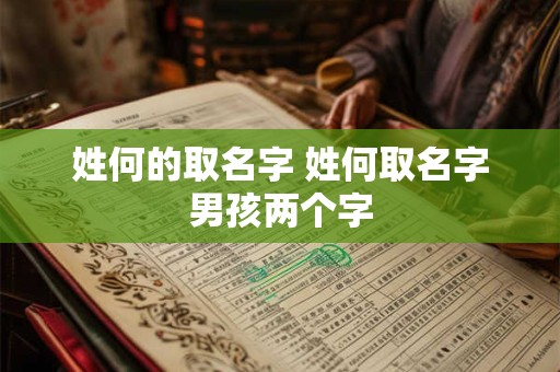 姓何的取名字 姓何取名字男孩两个字