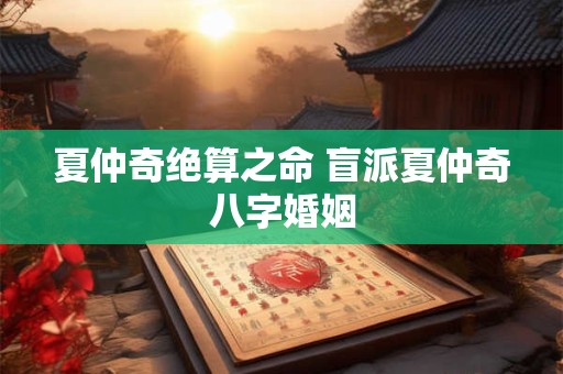 夏仲奇绝算之命 盲派夏仲奇八字婚姻