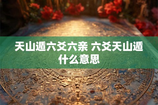 天山遁六爻六亲 六爻天山遁什么意思