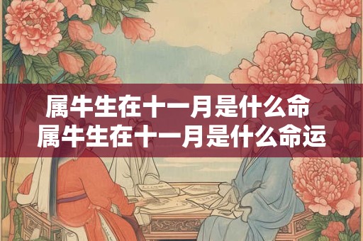 属牛生在十一月是什么命 属牛生在十一月是什么命运