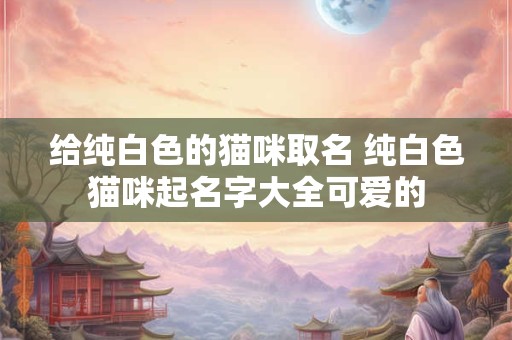 给纯白色的猫咪取名 纯白色猫咪起名字大全可爱的