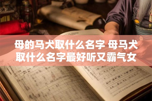 母的马犬取什么名字 母马犬取什么名字最好听又霸气女