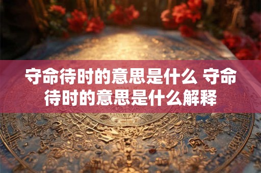 守命待时的意思是什么 守命待时的意思是什么解释