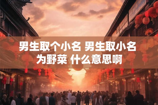 男生取个小名 男生取小名 为野菜 什么意思啊